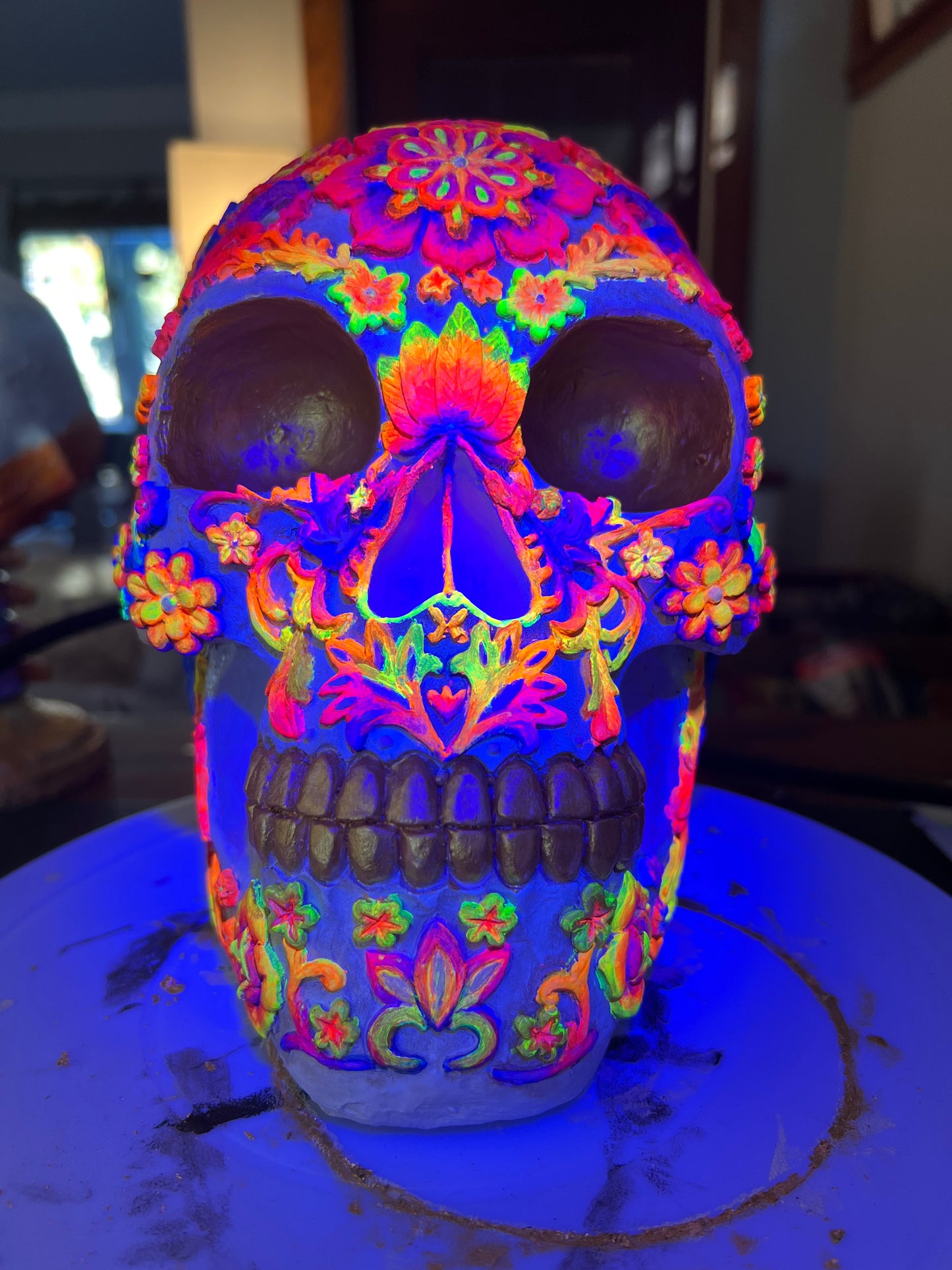 Upcycled Skull - Sunrise